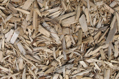 biomass boilers Cowpe